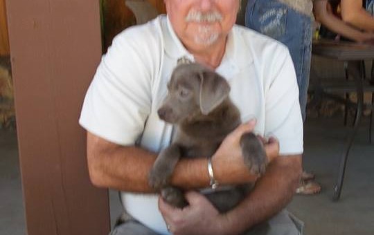 8 weeks