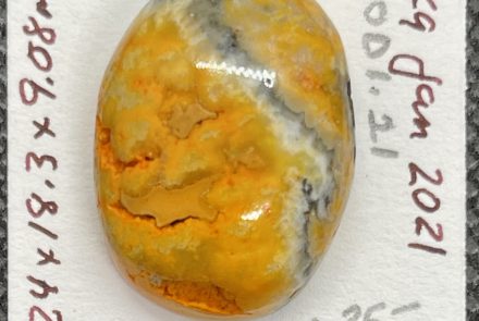 Bumblebee Jasper
