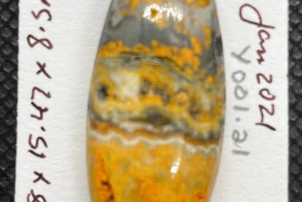 Bumblebee Jasper