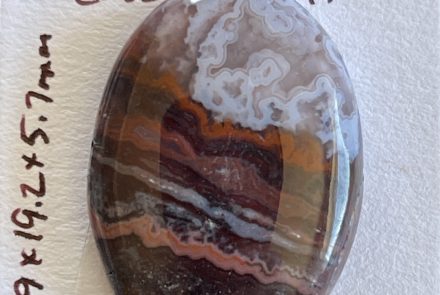 Cady Mountain Paisley Agate Cabochon