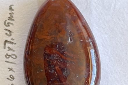 Cady Mountain Moss Agate Cabochon
