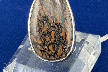 RED Agatized Dinosaur Pendant